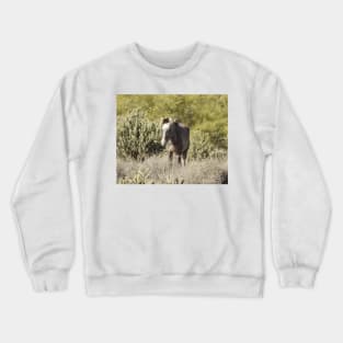 Wild horses, wildlife, gifts, Arizona, Wild and Free Crewneck Sweatshirt